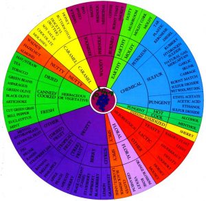 Davis Wine Aroma Wheel