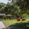 THE vineyard experience
