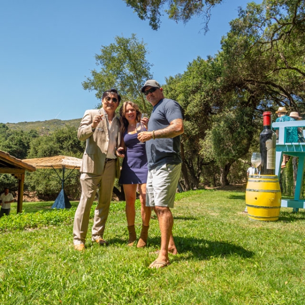 The vineyard experience