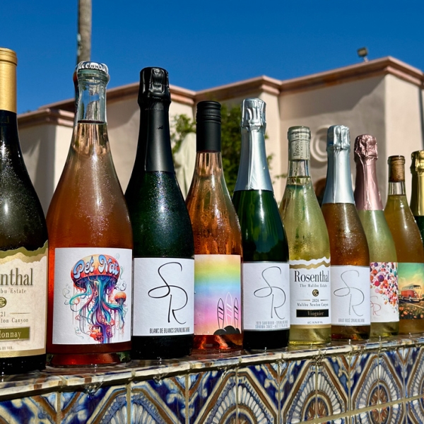 We have wines for everyone, come and visit us and find a new favorite