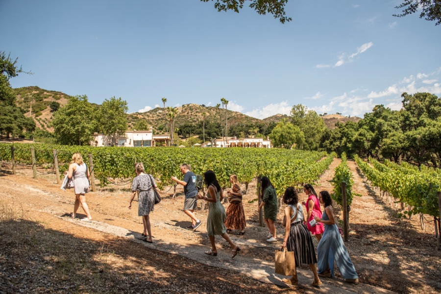 Private Vineyard tours are available – check out the vines and learn about winemaking at Rosenthal
