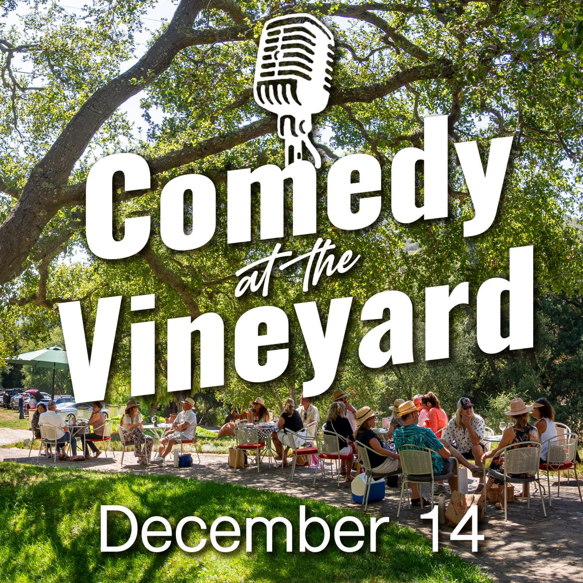 comedy at the vineyard